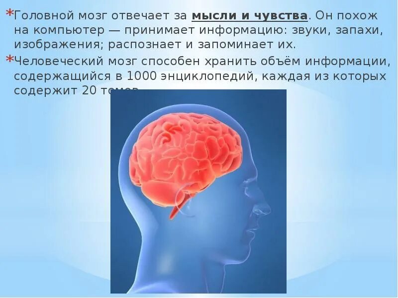 Презентации на тему мозга. Головной мозг презентация. Мозг человека для презентации. Мозг и информация.