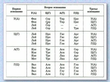 Таблица аминокислот биология