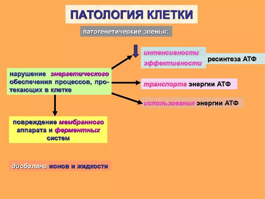 Причины патологических процессов. Схема механизмы патологии клетки. Патологические изменения в клетках. Патологические процессы клетки. Современные представления о патологии клетки.