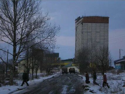 Детчинский завод комбикормов
