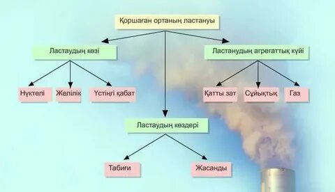 Семіз көрші ластанып жатыр (фото)