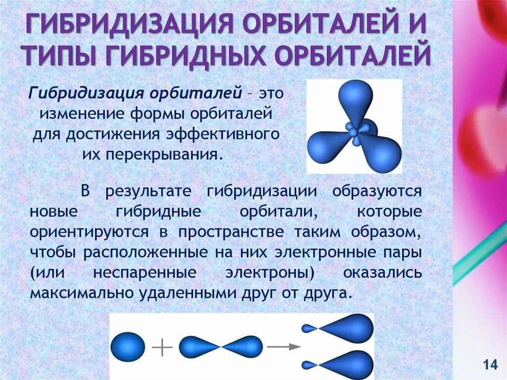 Явление гибридизации. Линейное расположение гибридных орбиталей. SP гибридизация атомных орбиталей. Форма sp3 гибридных орбиталей. Явление SP гибридизации электронных орбиталей.