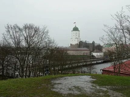 Погода в выборге в ноябре