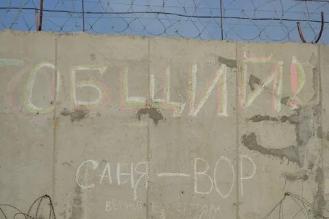Написала на заборе соседа