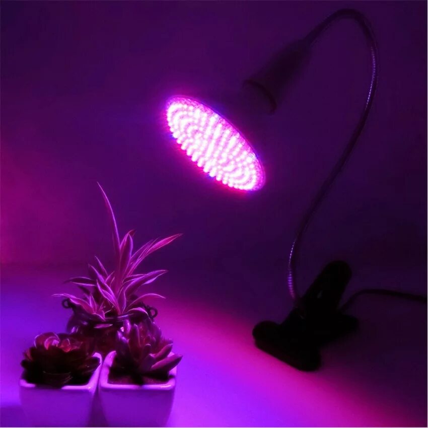 Розовая лампа для растений для чего. Фитолампа e27 100w. Фитолампа led grow Light. Фитолампа gu10 для растений. Фитолампа grow Light 40 Вт.