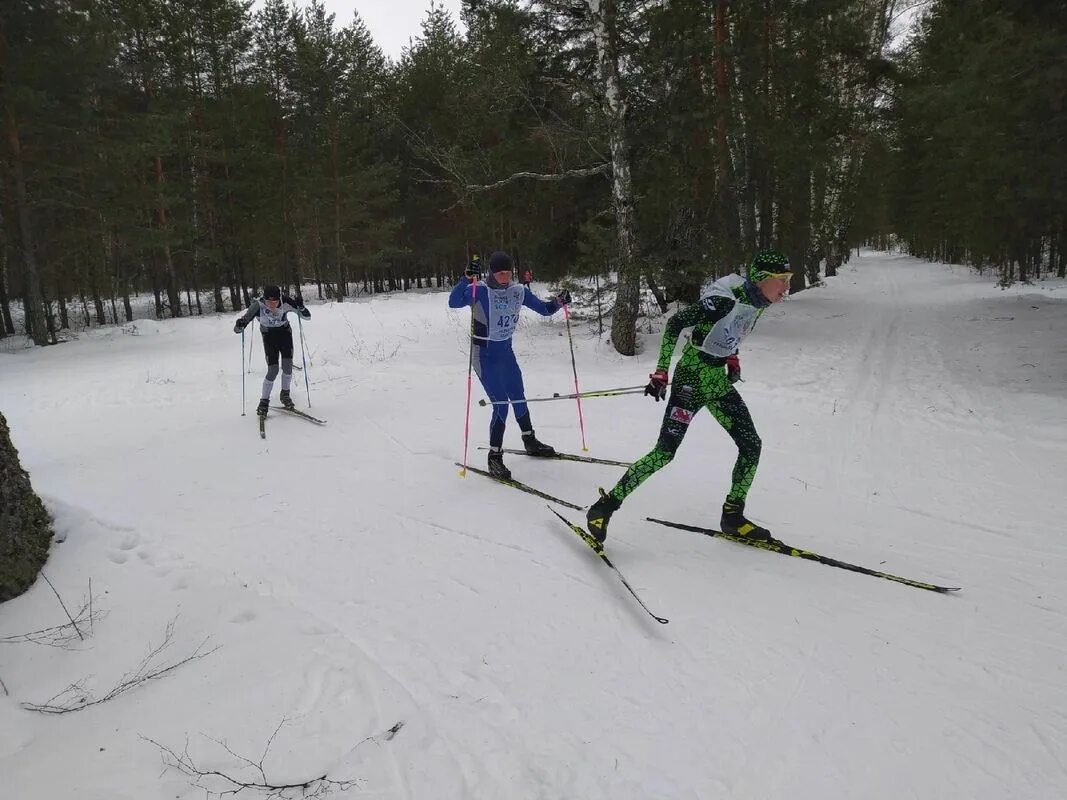 Две команды лыжников шли навстречу друг другу. Команда лыжников. команды лыжников спортсмены с аншлагами.