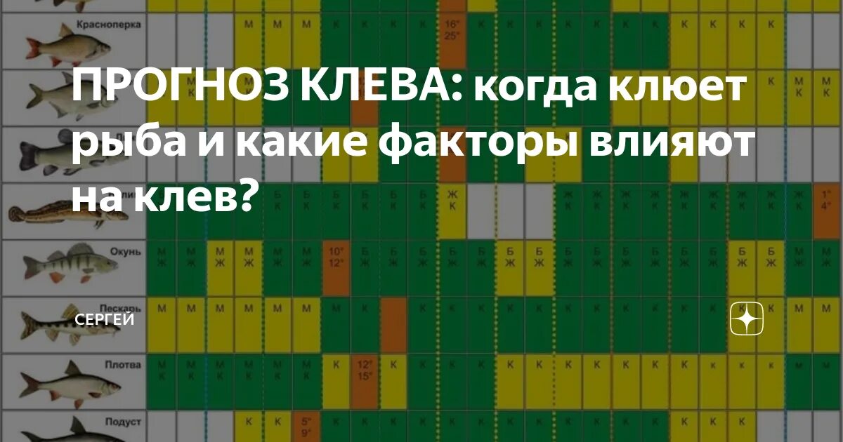 Календарь рыбалки. Календарь клева рыбы. Таблица клева щуки. Рыболовный календарь клёва рыбы. Период лова