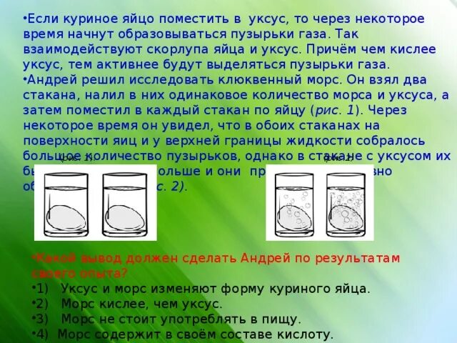 Экспериментатор поместил куриную кость на несколько. Экспериментатор поместил куриную кость на несколько