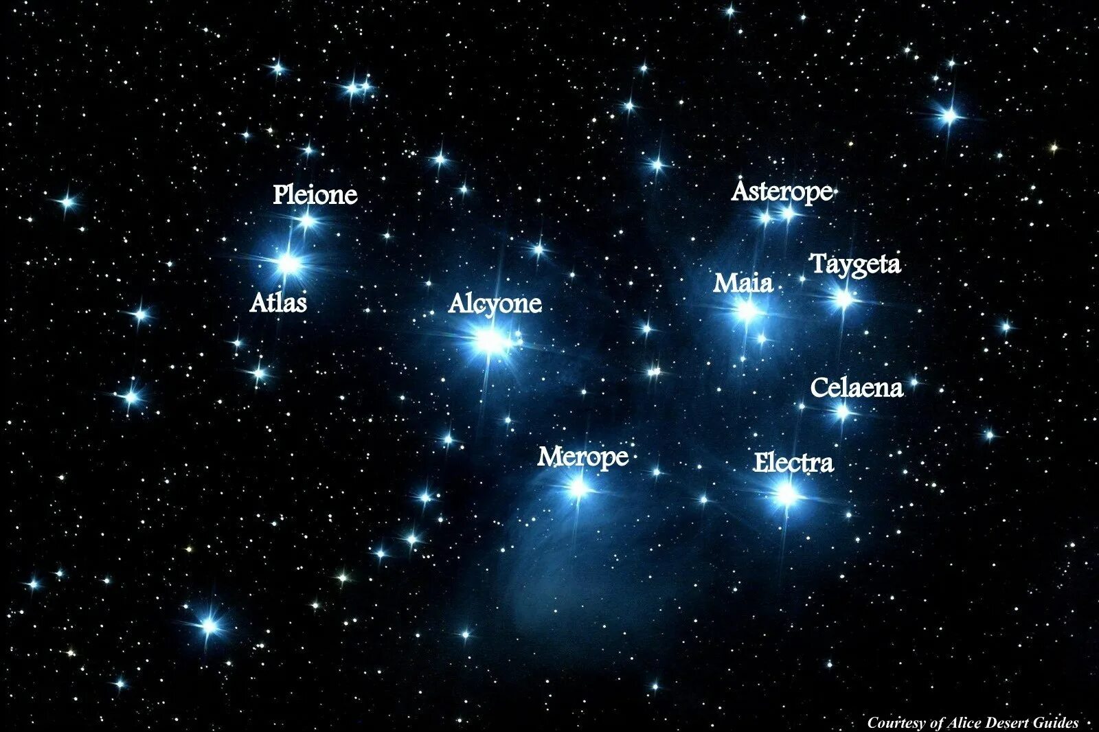 Глас плеяды 4 читать полностью. Альциона в созвездии тельца. Альциона звезда Плеяды. Созвездия Плеяд звезда Электра. Галактика Плеяды.