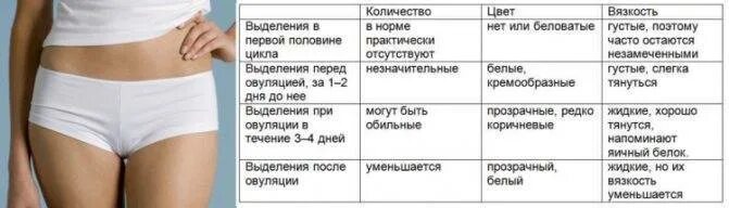 Почему болит яичник при овуляции