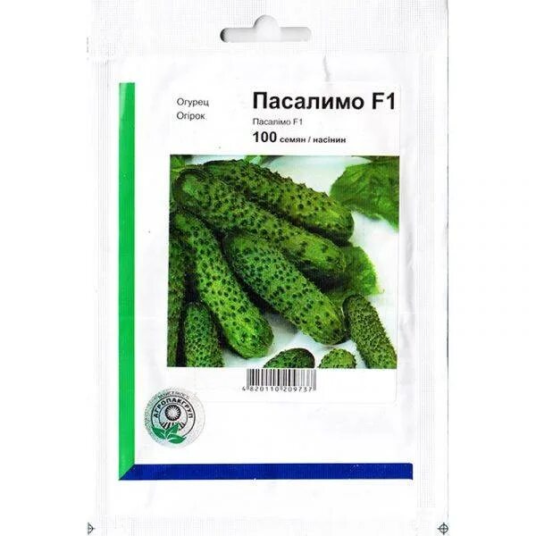 Огурец пасалимо характеристика. Огурцы сорт пасалимо отзывы. Огурцы пасалимо фото. Огурец св 4097. Огурец диригент f1.