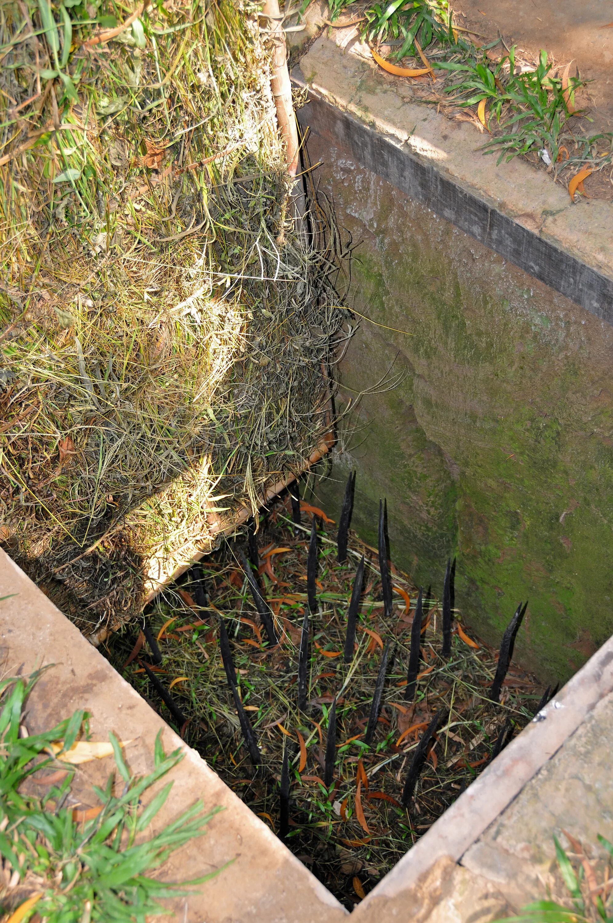 Booby trapping. Волчья яма ЛОВУШКА. Ловушки вьетнамских Партизан яма. Ямы ловушки во Вьетнаме. Волчья яма ЛОВУШКА Вьетнам.