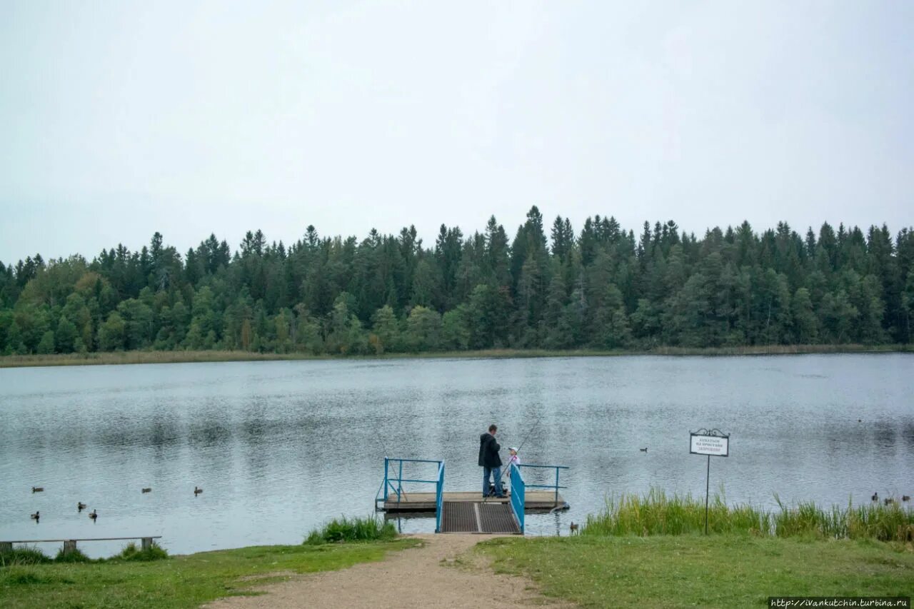 Озеро ужин. Озеро ужин на Валдае. Озеро ужин Новгородская область. Озеро ужин Новгородская область Валдай. Дом отдыха на озере ужин на Валдае.