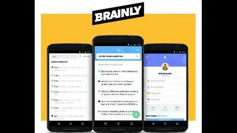 Brainly