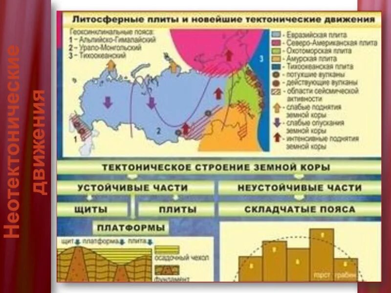 Какой тектонической структуре. Тектонические структуры. Тектонические структуры России. Тектонические структуры это в географии. Тектонические структуры России 8 класс.