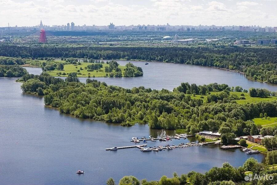 Мякинино парк. Павшинская пойма красногорск парк. Мякининской пойме москвы-реки. Остров мякинино. Живописная бухта красногорск.