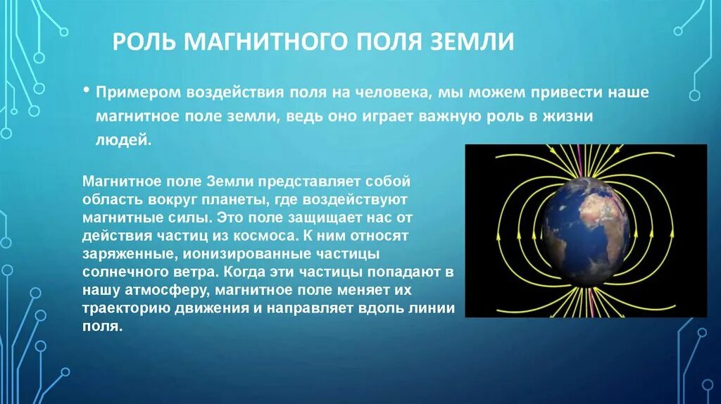 Какова роль магнитного поля земли в существовании