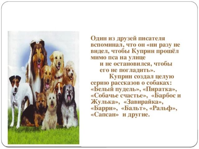 Собачье счастье куприн иллюстрации. Куприн собаки породы. Куприн рассказы о животных собачье счастье. Куприн барбос и жулька иллюстрации. Собачье счастье краткое содержание.
