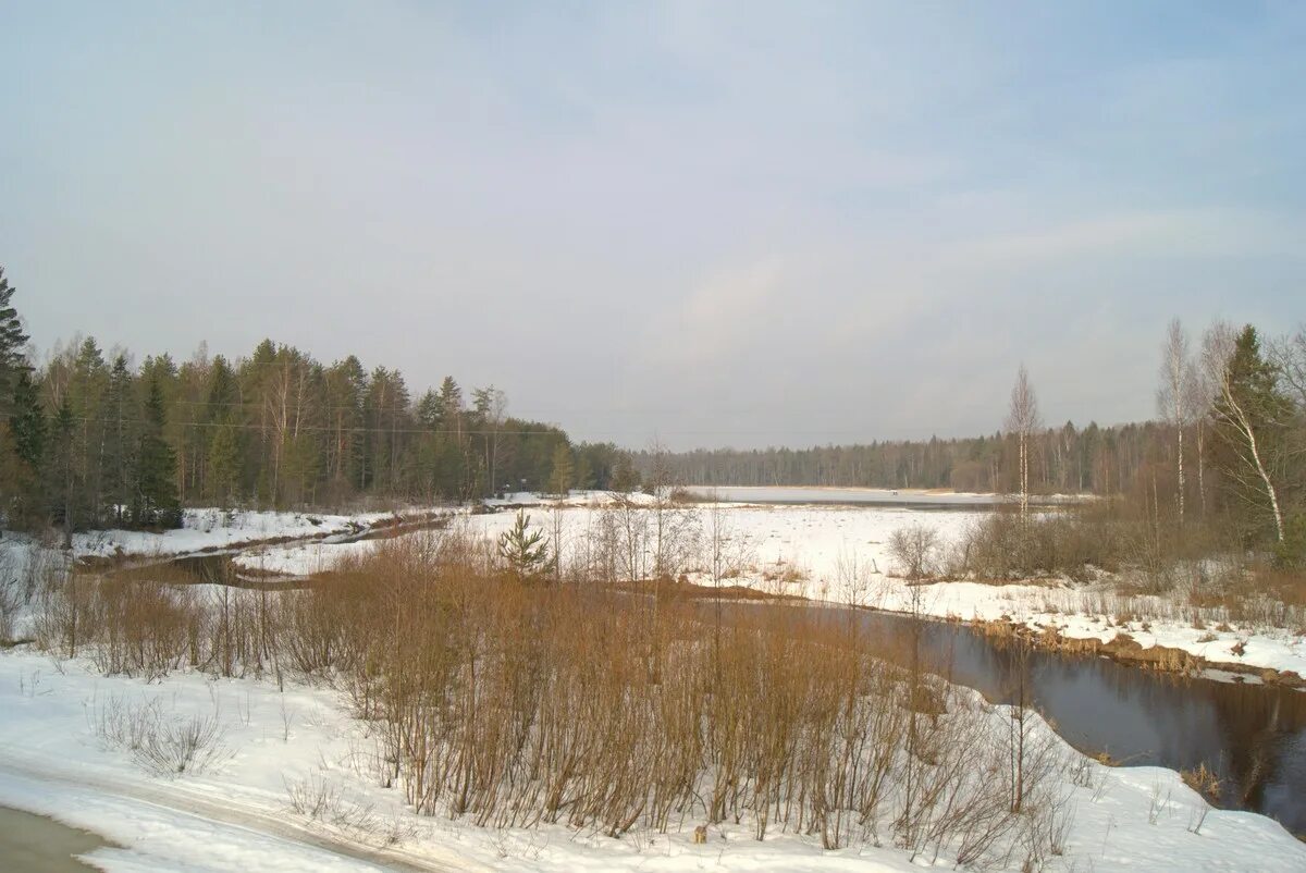 погода охват тверская область. погода охват тверская область. погода охват тверская область. погода охват тверская область. озеро охват тверская.