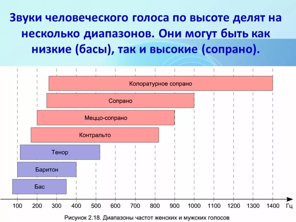 Высокие разновидности женских и мужских голосов. Звуки человеческого голоса по высоте делят на несколько диапазонов. Диапазон частот человеческого голоса. Диапазон женских голосов. Высота голоса.