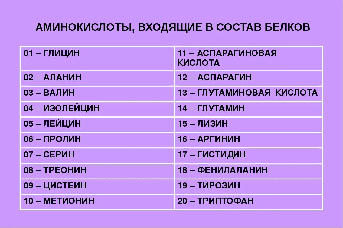 20 Аминокислот таблица аминокислоты. Иминокислота входящая в состав белка. Аминокислоты входящие в состав белка. В состав белков входят аминокислоты. Сколько всего аминокислот