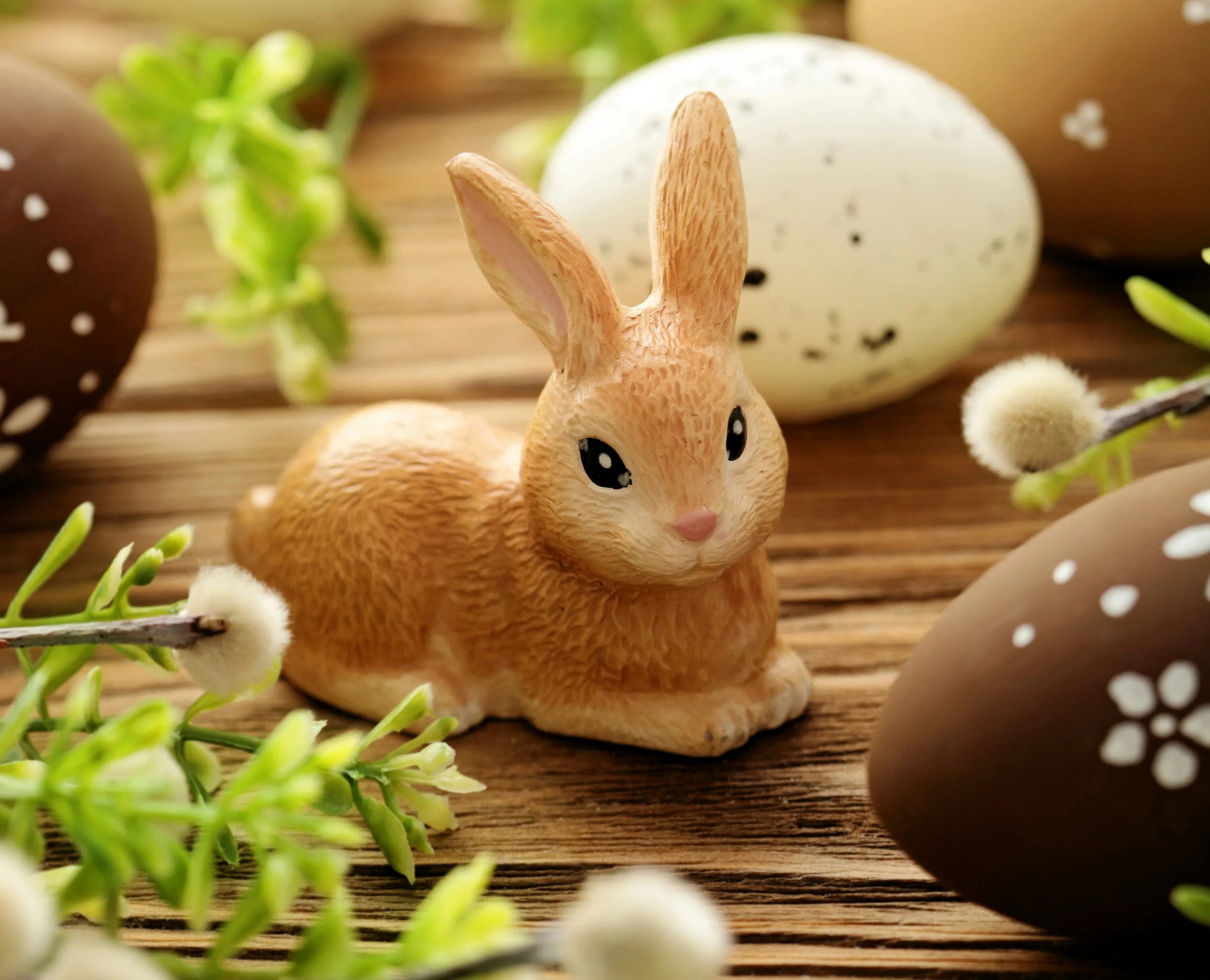 Rabbit egg