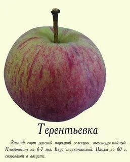 Пресные яблоки