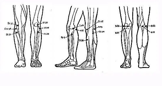 Точка спереди. Акупунктурные точки колена. Точки на внутренней стороне колена. Точка акупунктуры на внутренней стороне колена.