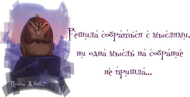 Ни одна мысль на собрание не пришла. Долго собираешься с мыслями. Соберись с мыслями. С чем связана твоя работа с идиотами картинка. Столько мыслей в голове.