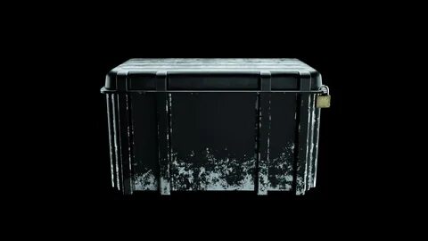 Case 3d model