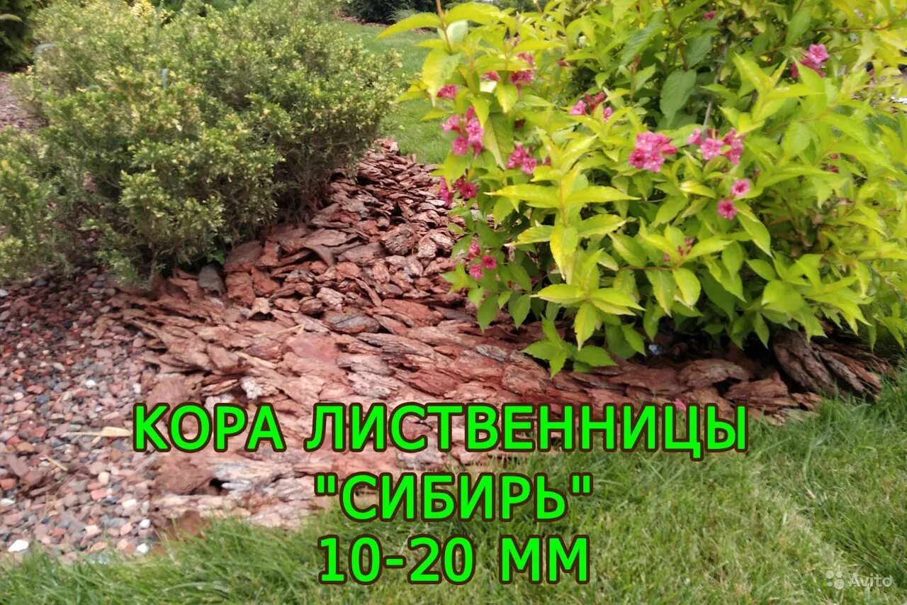 Расход коры для мульчирования на метр