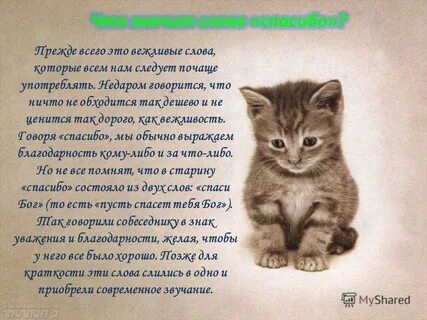 О чем это говорится