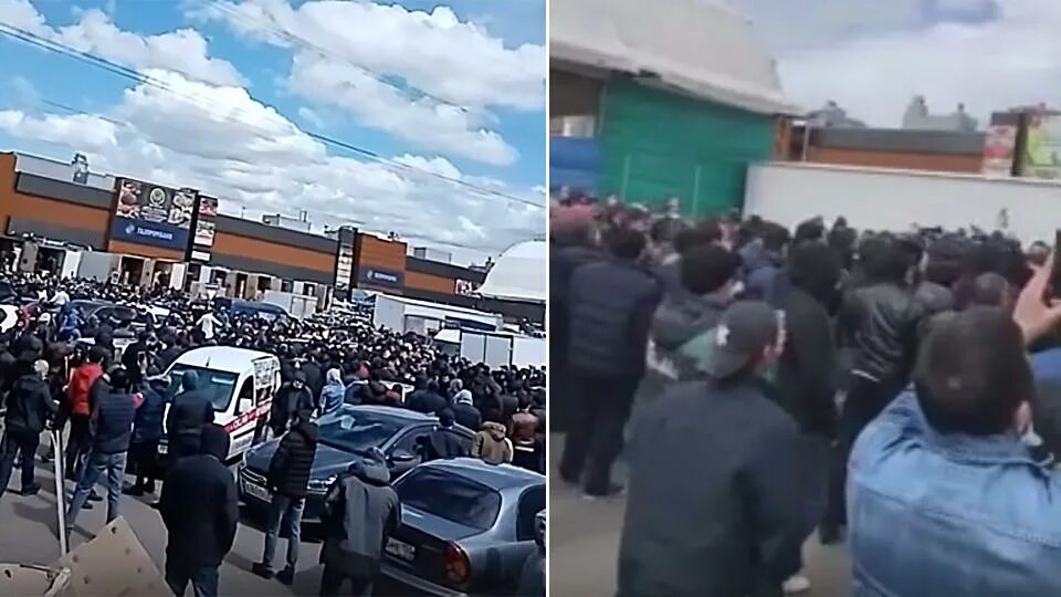 Фуд сити 6 кросс док. Гостиница москва фут сити. Фуд сити криминал. Фуд сити 6 кросс док. Фуд сити.