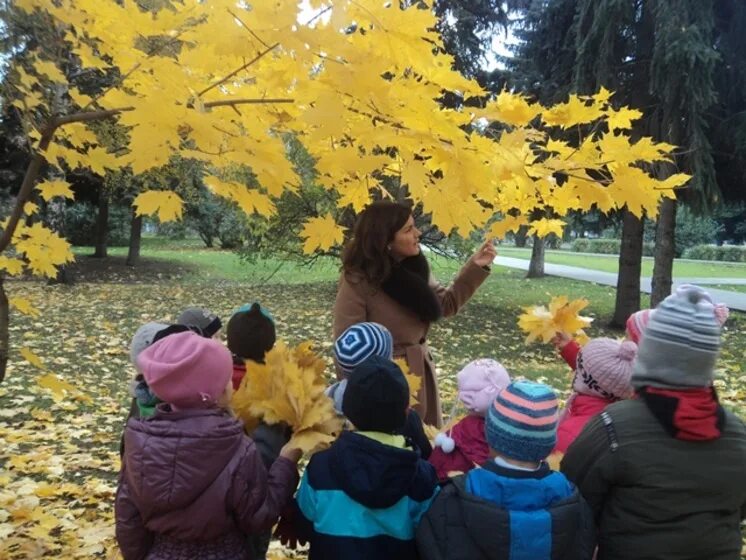 Экскурсия в осеннюю природу