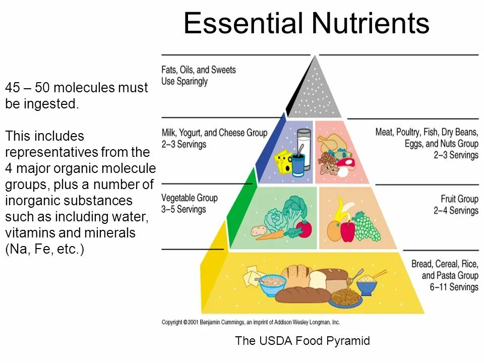 Essential nutrients. Nutrients Journal. Inorganic substances картинки. Nutrients meaning.