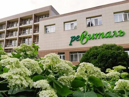 Больница кучино балашиха