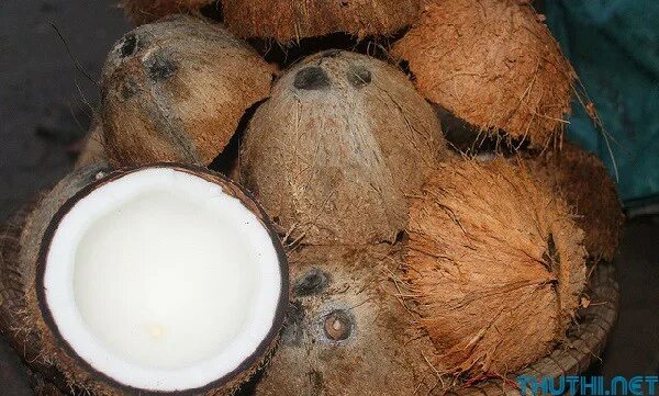 Жареный кокос. Жареный сахар с кокосом. Кокосовые чипсы жареные. Копра кокоса. Жареный кокос.