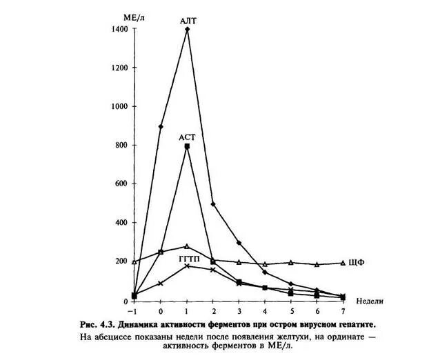 Активностью в течение недели. Измерение активности алат в сыворотке крови. Привести пример измерения активности алат в сыворотке крови.. Наибольшая активность алт обнаруживается. Методы определение АСАТ В сыворотке крови.