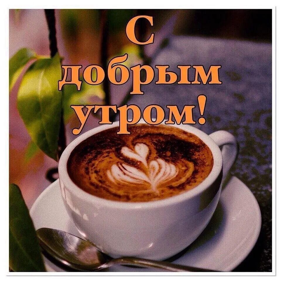 Доброе нормальное утро. С добрым утром. доброе утро пятницы. открытки с добрым утром парню. открытки с добрым утром мужчине.