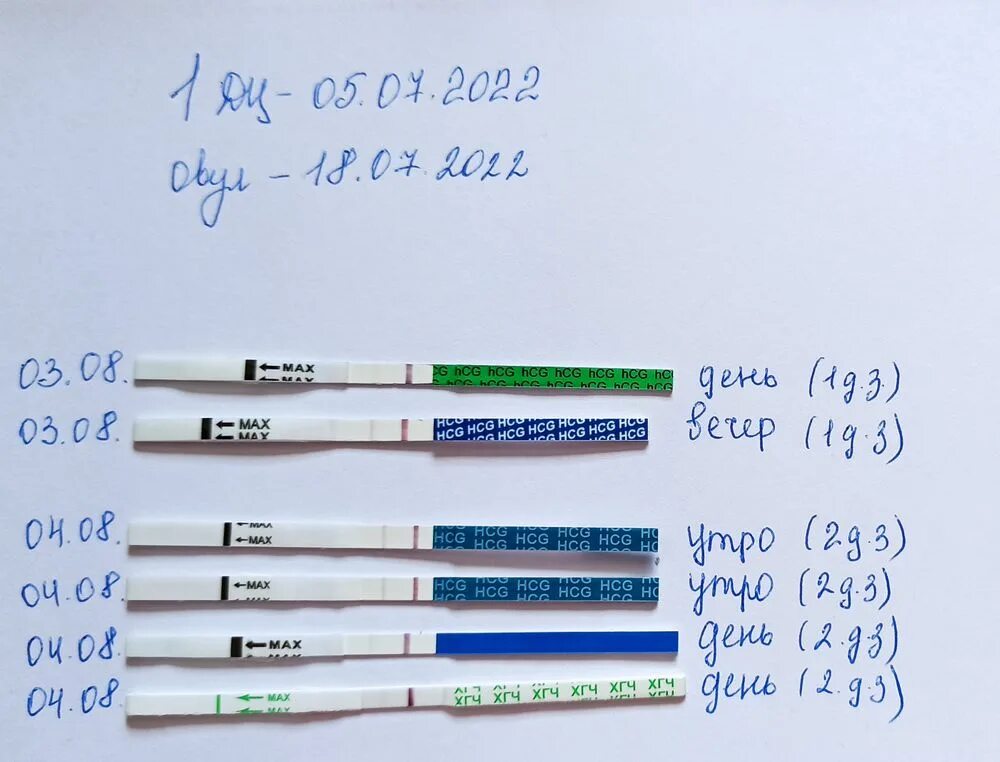 Динамика тестов и ХГЧ. Тест на ХГЧ. Тесты при биохимической беременности. Динамика тестов на беременность. Можно сдать хгч после еды