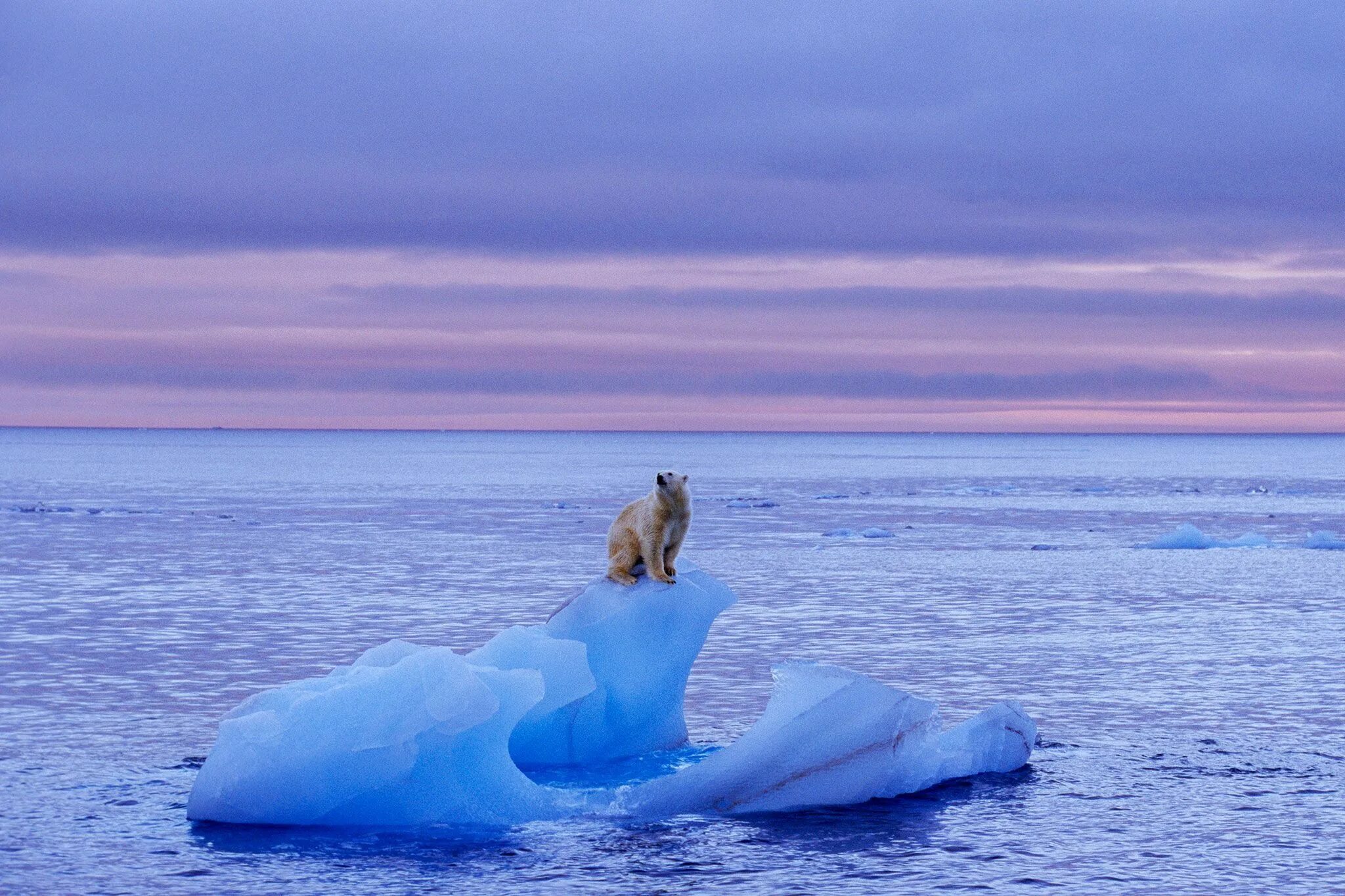 Темы исследовательских проектов изменение климата Free Infographics and Lesson Plans (Gr 7-10) on Climate Change from Let's Talk E