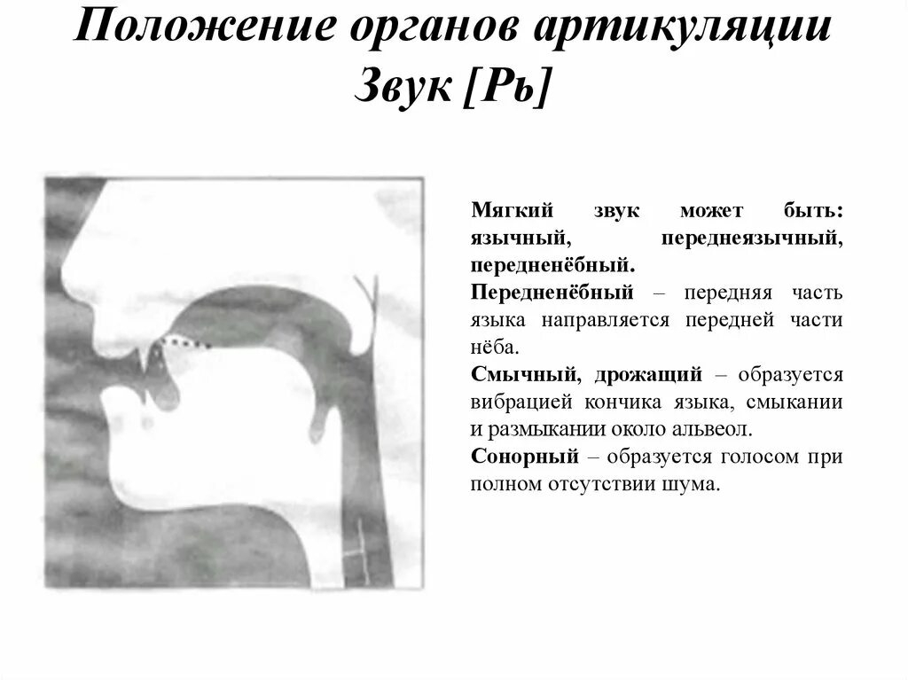 Артикуляционный уклад звука с для детей. Артикуляция звука рь для дошкольников. Положение языка при звуке р и рь. Артикуляция звука рь для детей в картинках. З артикуляция