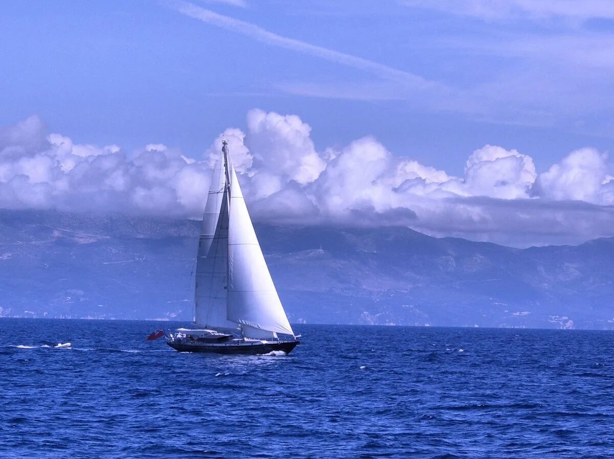 Белеет бел. Яхта в море. парусник в море. море парус. яхта с белым парусом.