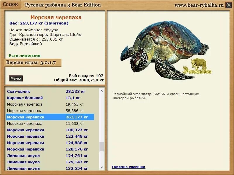 Turtle на русский. Вес черепахи. Русская рыбалка 3 Bear Edition. Размеры морских черепах. Морская черепаха вес.