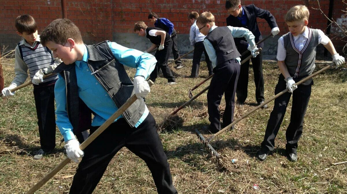 Трудовое воспитание в классе. Трудовое воспитание в классе