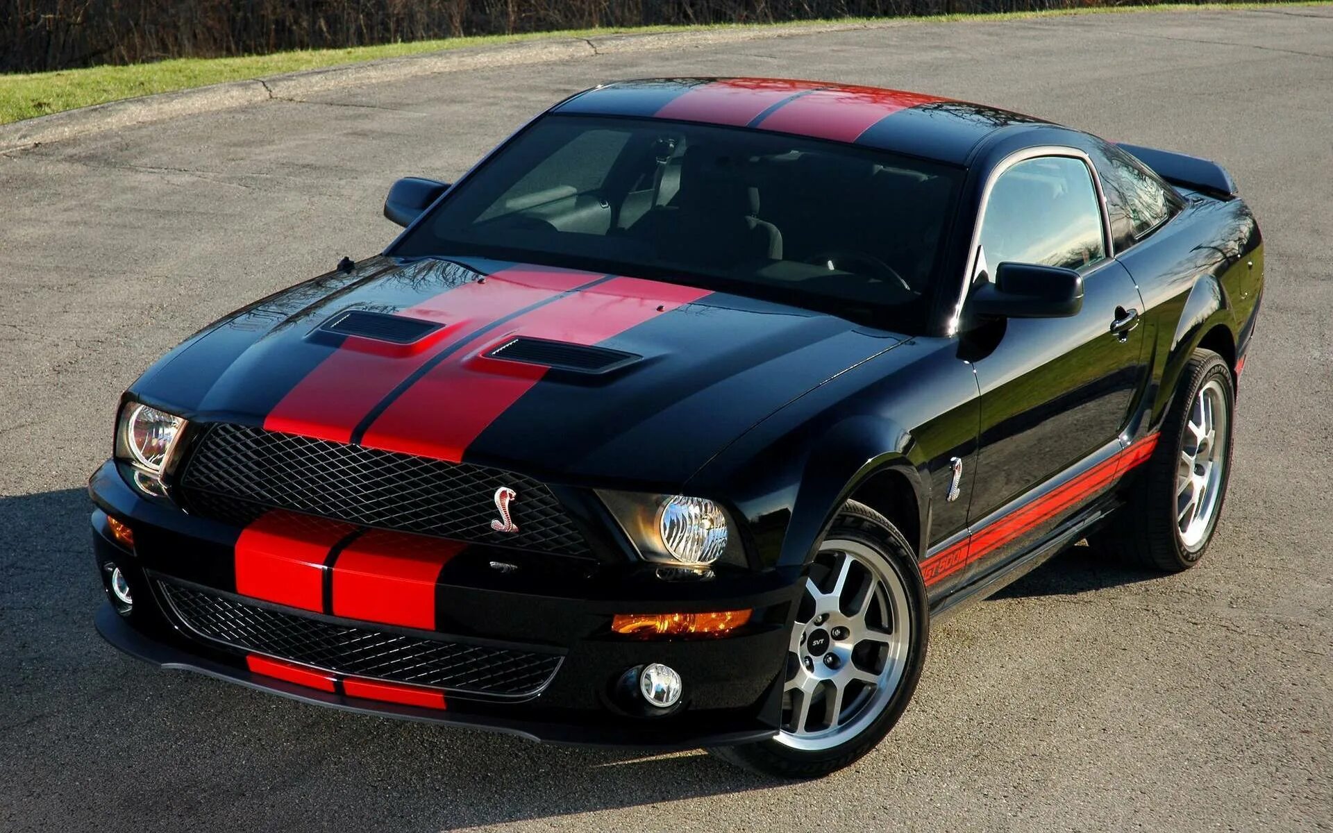 Форд Мустанг gt 500. Ford Shelby gt500. Форд Мустанг gt 500 Shelby. Ford Mustang Shelby gt500 Red. Скопировать 500