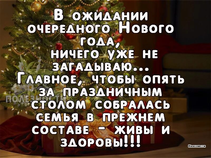 Цитаты про новогоднюю елку. В ожидании нового года цитаты. хочется счастья в новом году. хочется нового счастья в новом году. стихи об ожидании нового года.