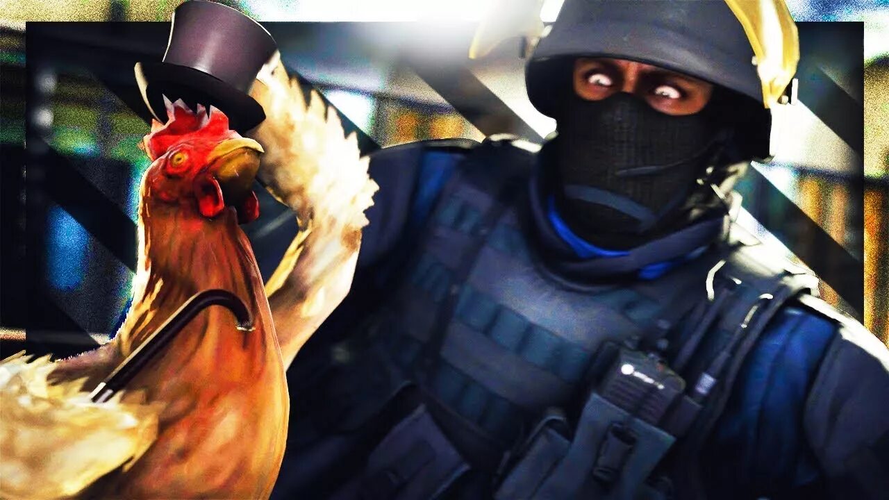 Chicken to go. Counter-Strike: Global Offensive курица. Rehbhwf RC 1/6. Петух КС 1.6. Курочка КС го.
