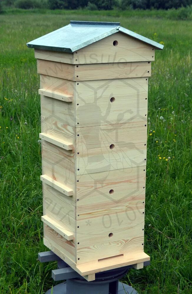 Японские ульи. Ульи fort hive. Улей рож. Улей роже делона альпийский. Улей рож.