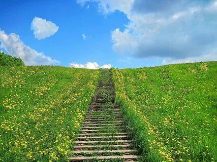 Тропа в жизни человека